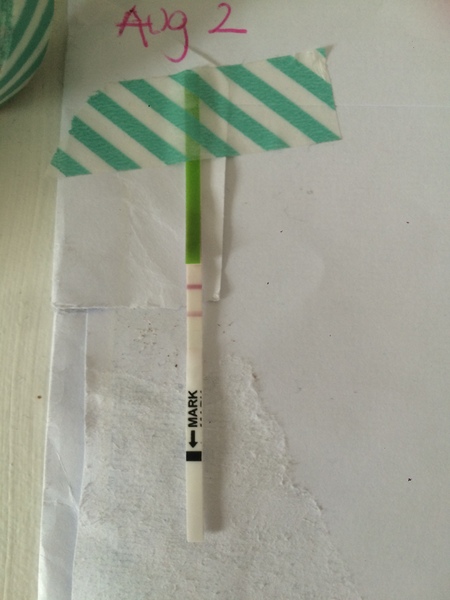 TTC after miscarriage thread #6