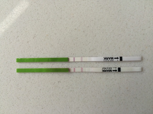 Positive opk after a miscarriage