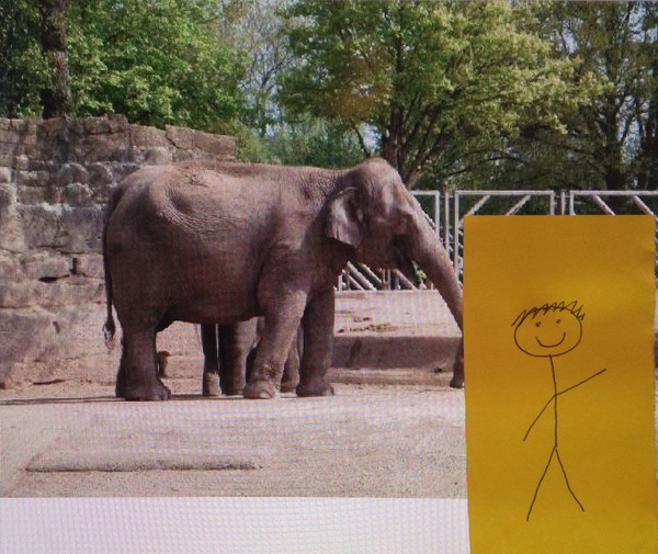 to think this is a fake Chester Zoo ticket? Seriously, is it fake!?