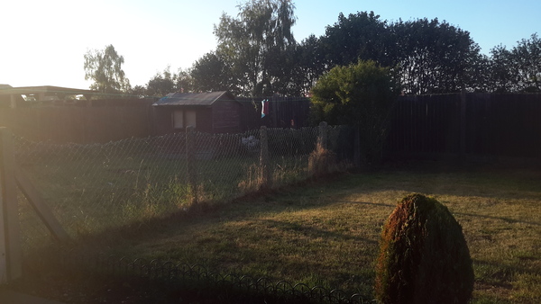 Where to start? Garden planning help gratefully received!