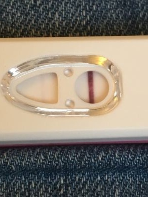 April 2017 - anyone out there?