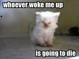 Rude awakening