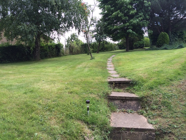 Help me light up this garden?