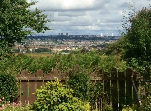 Brave Babes Battle Bus - Holding our heads up like thistles