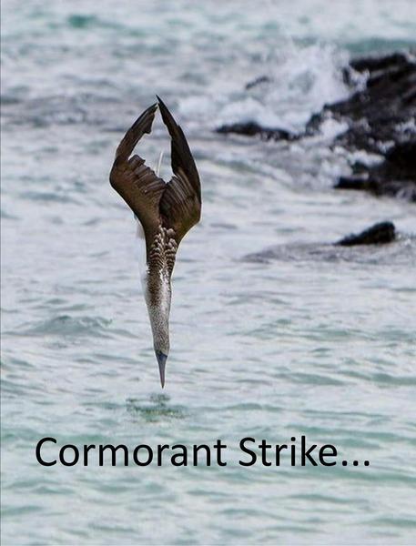 Team A has beefcake, Team Dog has joined the army and Team Ath are on Strike, Cormoran Strike. Swagger Inn 137.