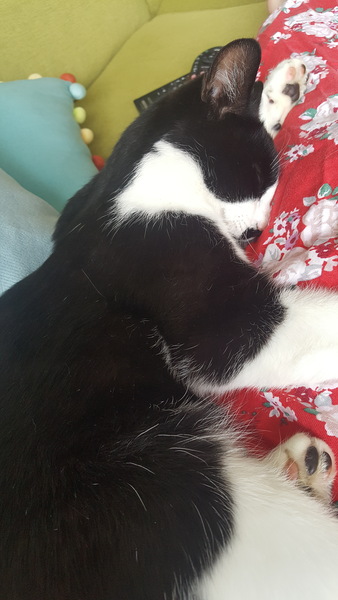 Staying posifrickentive- Thread 10 for ladies pg after mc