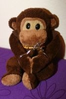 To complain to the zoo about the wanking monkeys?