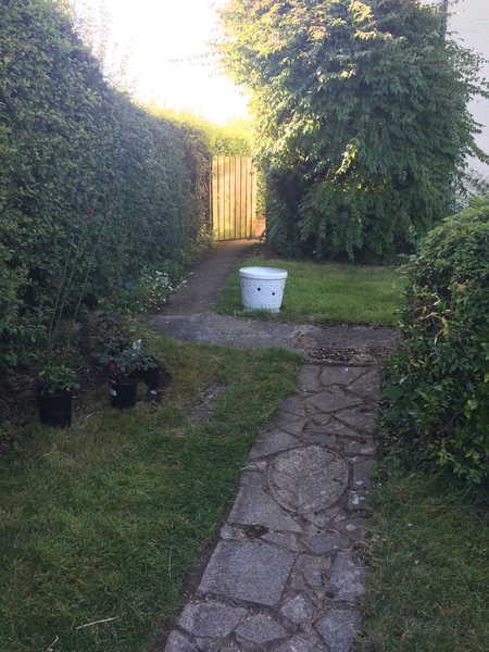 Help me plan my garden - I haven't a clue what I'm doing
