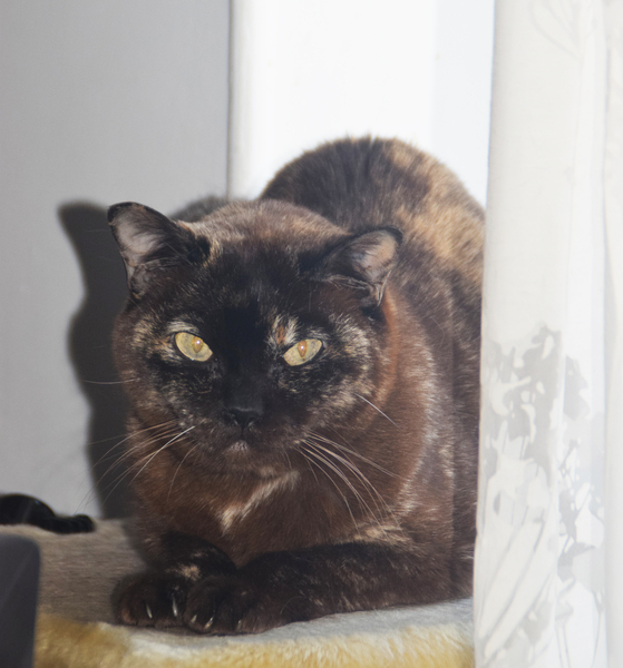 My darling girl is gone.