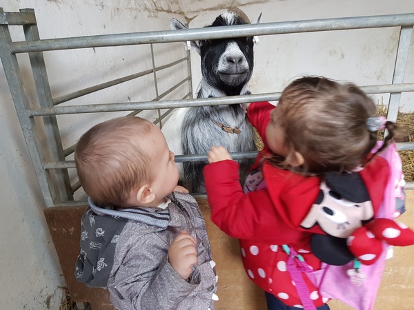 Zombie and Chemo - The Ongoing Saga