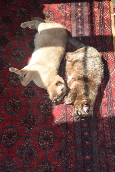 My darling girl is gone.