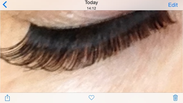 emergency lash help needed!