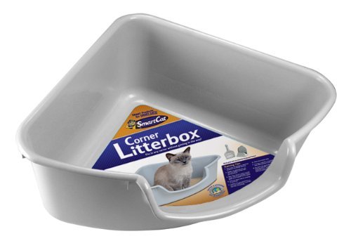 How do I stop my cat doing this? (Toilet related behaviour)