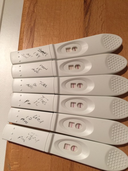 Positive opk after a miscarriage