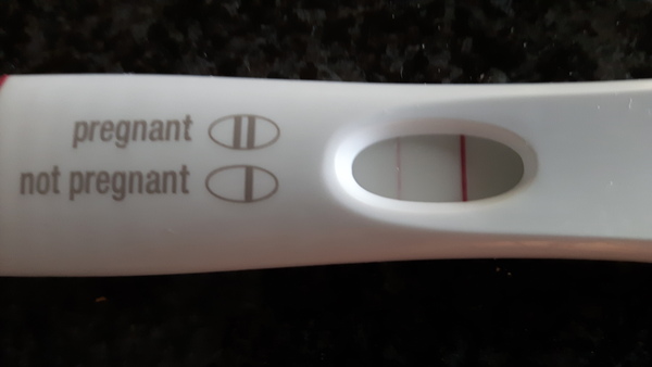 Planet viroid, a spiritual home for all of the shaggers! It's JS 61, this is going to be the big one!