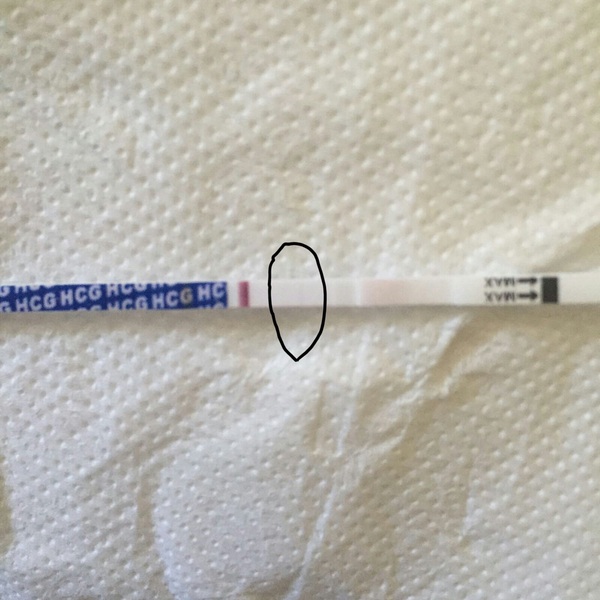 September bfp bus