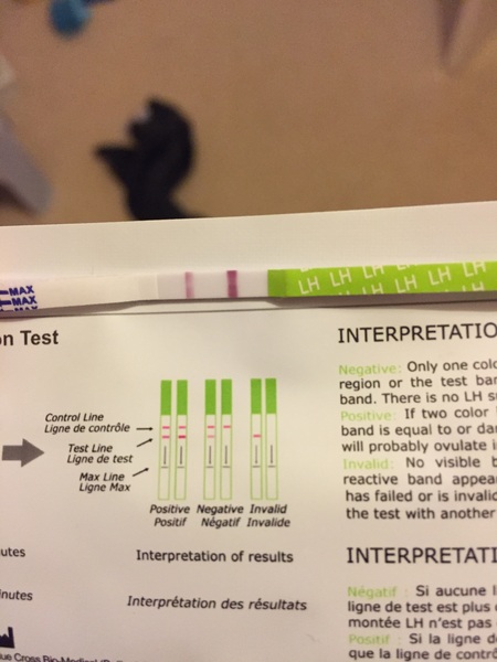 ovulation test opinions please??