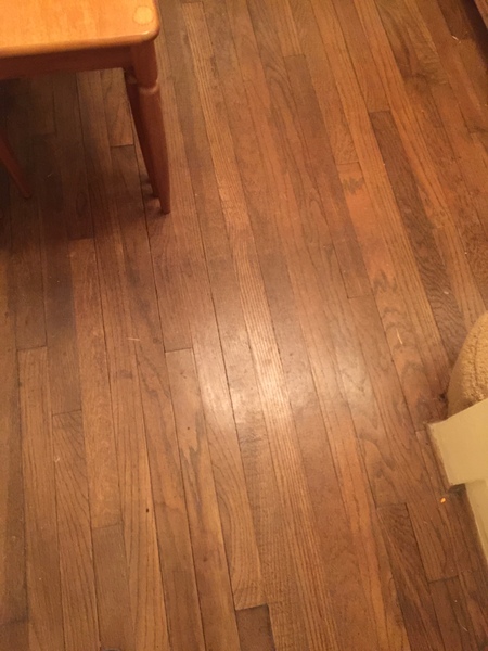 Oak or Pine? How do you tell? Pic included.