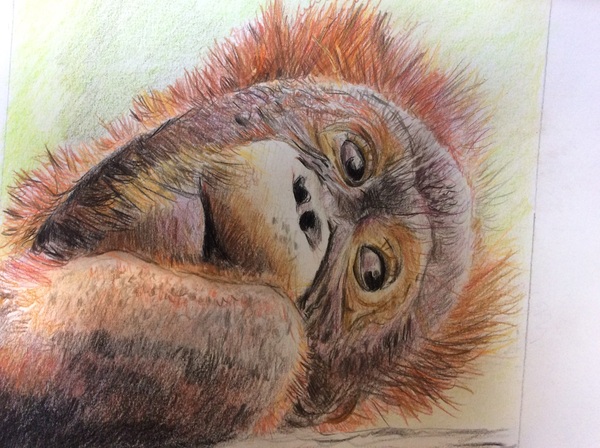 Any painters? Acrylics