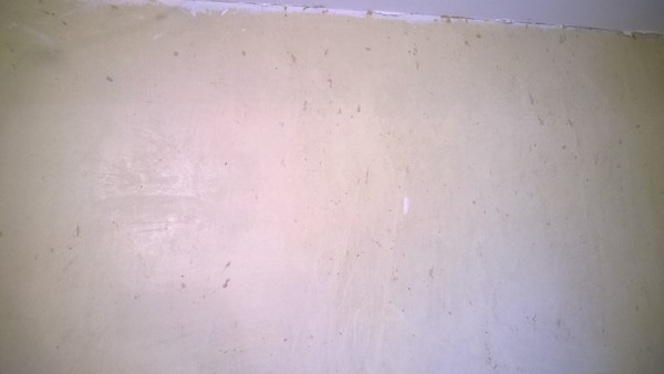 Wallpaper Stripping for First Time...please have a look at these pics.