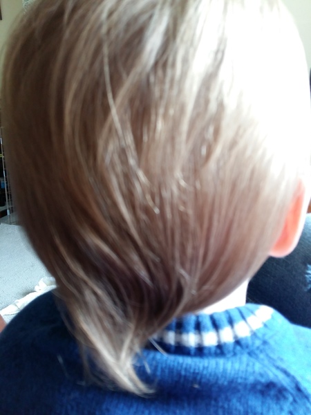 November 2014 - the one where they answer back.