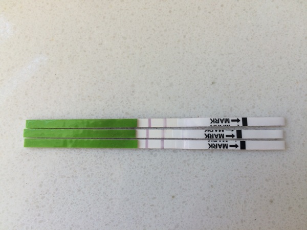 Positive opk after a miscarriage