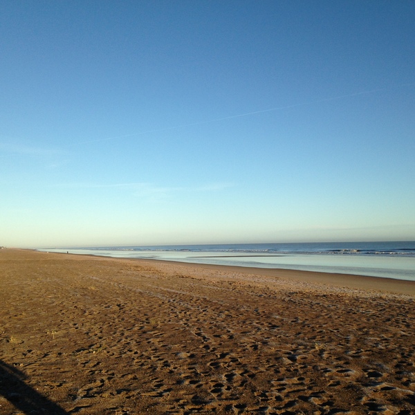 Brave Babes Battle Bus - Holding our heads up like thistles