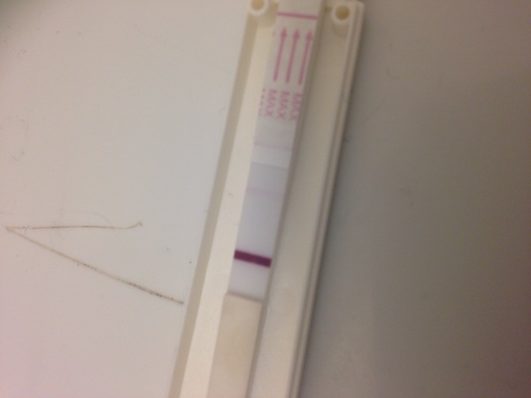 Is this a BFP??