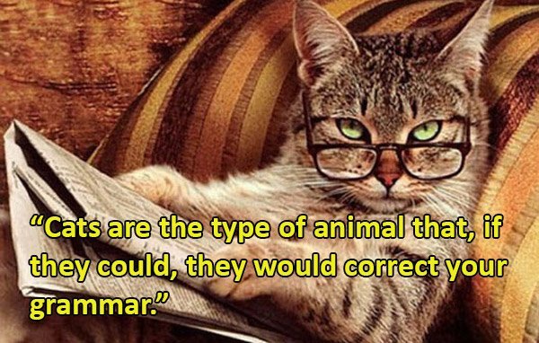 To want to ban the use of the word 'like' ?