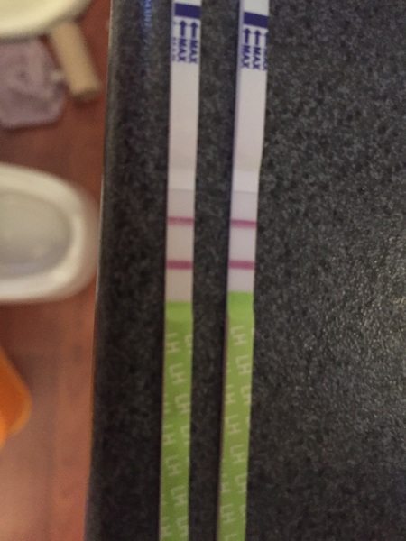 ovulation test opinions please??