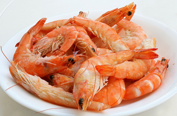'You look well!' FAT FROM PRAWN COCKTAILS