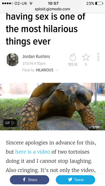 To complain to the zoo about the wanking monkeys?