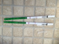 Are these evap lines or am I pregnant?