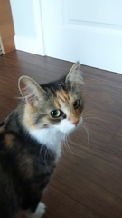 She's here!
