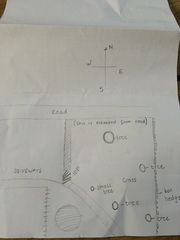 Help me plan my garden - I haven't a clue what I'm doing