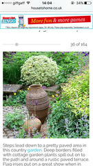 Help me plan my garden - I haven't a clue what I'm doing