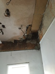 Is it idiotic to consider putting up a plasterboard ceiling...