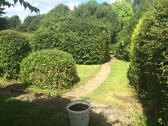 Help me plan my garden - I haven't a clue what I'm doing