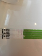 OPK's and endometriosis hell