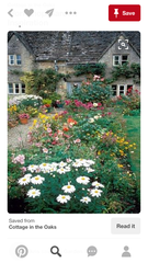 Help me plan my garden - I haven't a clue what I'm doing