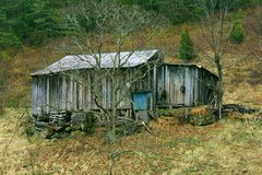 cars that don't match houses