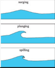 AIBU to think that we need more education about the sea?