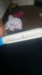 Ttc number 2!