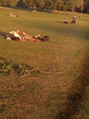 To wonder how people cope living in London?!