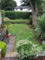 Help me plan my garden - I haven't a clue what I'm doing