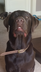 Thread #10 - TTC#1 Grads Thread - Babies Ahoy