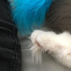 Toe floofs
