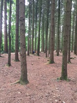 How do you get your children busy and active over the holidays? Tell us for a chance to win Ready Steady Mo!, signed T-shirt PLUS £100 John Lewis vouchers