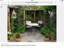 "in the midst of winter, I found there was within me, an invincible summer" Potting shed chat continues here