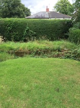 Help me plan my garden - I haven't a clue what I'm doing